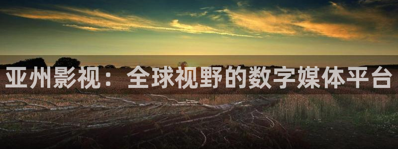 2025人人讲安全个个会应急视频：亚州影视：全球视野的数字媒体平台