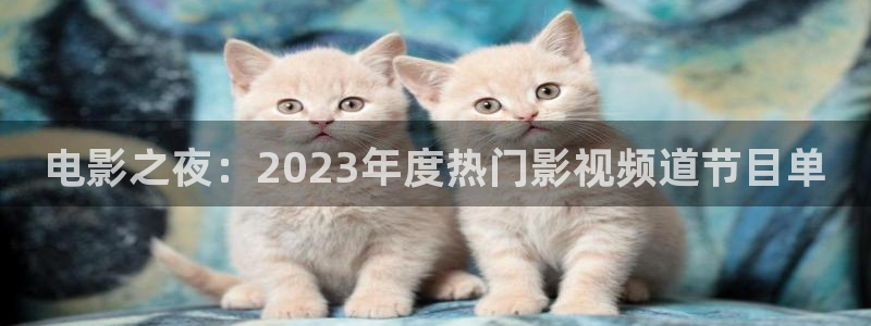 人人草人人插视频：电影之夜：2023年度热门影视频道节目单